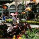 벨라지오호텔 이미지