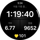 상면 뚝방 자전거길 | [경기도 하남] 미사경정공원, 하남메타세콰이어길, 당정뜰 (4월)