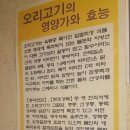 강북오리박사 이미지