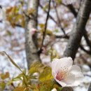 13코스 #2-2 이미지