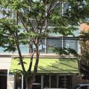신석초교 | [카페] 대흥 카페 | 광흥창 조용한 카페 추천 | 광흥창 분위기 좋은 카페 &#39;오르트하우스&#39; 후기