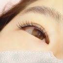 블랙스완래쉬 이미지