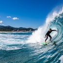 신장둔치 | 하늘·바다·숲 전부 정복! 전국 이색 액티비티 체험 TOP 10 🔥