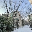 아빠부동산중개사무소 이미지