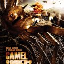 스파이더 대침공 (Camel Spiders 2011) 미국 | SF,공포 | 감독 : 짐 위노스키 | 배우 : 브라이언 크라우즈, C. 토마 이미지