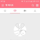 언니네 펫 네이버블로그