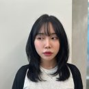 엘로이헤어 이미지