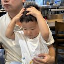 제주독채펜션 돌담감성숙소 흐레 이미지