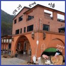 이솔팜스테이 | 고창 카페 이솔, 선운산 근처 가볼만한 곳(애견동반가능)