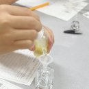 대전은어송중학교 이미지