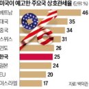 무자비 이미지