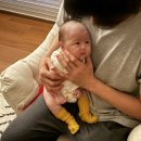 아씨헤어라인 이미지