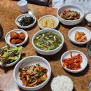 해송 | 광주 전대 신안동 낙지맛집 해송 내돈내산 후기