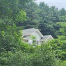 숲속의하얀집 이미지