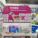 시흥동물약국 이미지