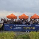 신젠타코리아 이미지