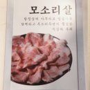 중문뚱보집