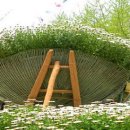 달콤한 민들레의 속 이미지