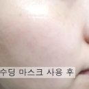 미진플라워 이미지