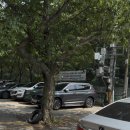 양산 내원사 계곡뷰 맛집 &#39;산마루 식당&#39;: 닭볶음탕과 볶음밥 후기