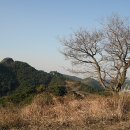 원항목 입구 이미지