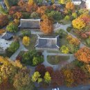 경상감영공원 상산관 화장실 | [대구 중구] 경상감영공원 - 전 견종 가능 · 맹견 입마개 · 목줄 착용 · 배변봉투 지참