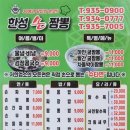 한성정통손짜장식당 이미지