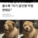 호락PC방 이미지