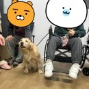 해누리복지관 | 동탄·수지 해누리 성인반 동물매개치료 후기 │ 성인 대상 정서교감 프로그램 현장 이야기