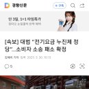 [속보] 대법 “전기요금 누진제 정당”…소비자 소송 패소 확정 이미지