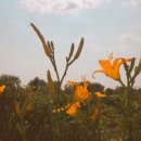 궁남지 서동문화관 화장실 이미지