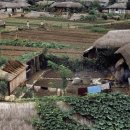 수원-1950 이미지