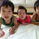 포전리마을회관 이미지