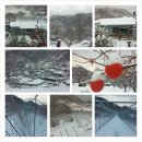 세찬농장 이미지