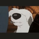 원더풀펫살롱 이미지