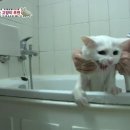 미루농장 이미지