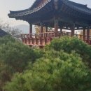 상심정지 이미지
