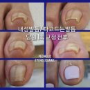 아이홀릭&네일