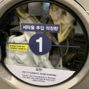 버블맨24셀프빨래방_이불빨래는 영천동입니다:)