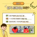 리드인서