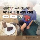 꽃향기머무는집 | 꽃향기 가득한 힐링 스팟, 마이데이 플라워카페 애견동반 이색 카페