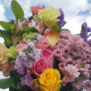 팜팜농장 이미지