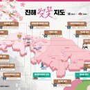 중한반점양꼬치회전구이 | 진해 군항제, 2026년 벚꽃 축제 주차장 위치& 맛집 완벽 정리