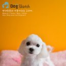 뽀미 애견 미용샵 이미지