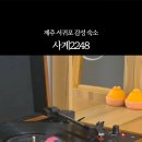 사계2248 이미지