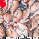 피싱펜션