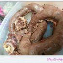 베트남순대