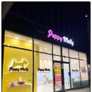 부산강아지분양 퍼피몰리 | 부산강아지분양을 다녀 온 후기:부산강아지분양 퍼피몰리