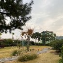 제주통나무휴양펜션 | 독채펜션] 7개월 아기랑 두 가족 여행! &#39;제주시간여행휴양펜션&#39; 솔직 후기 (ft. 제주도가성비단체펜션)