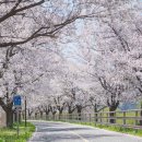 양평생활문화축제 이미지